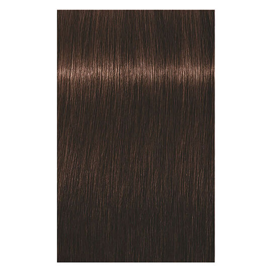 Coloration permanente Igora Royal 4-6 châtain chocolat