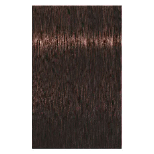 Coloration permanente Igora Royal 4-68 châtain chocolat rouge