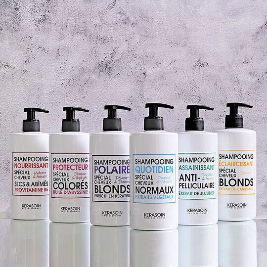 Shampooing quotidien cheveux normaux 500ml